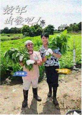 岩井俊二纯爱美学